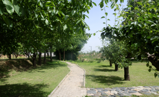 1781571667855741.png image.png